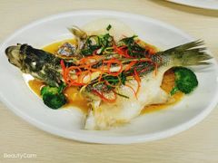 -大班家政月嫂育儿嫂(广州NO.1店)