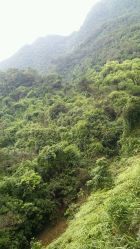 点击看大图 -GO VISION 动视觉婚纱摄影高级定制