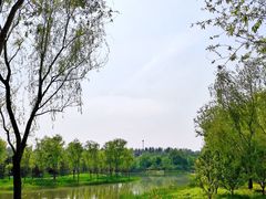 -东郊湿地公园