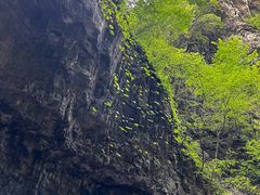 -野三坡百里峡景区
