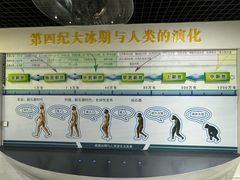 -中国第四纪冰川遗迹陈列馆