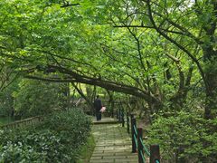 -东海大峡谷