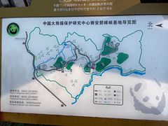 -中国大熊猫保护研究中心雅安碧峰峡基地
