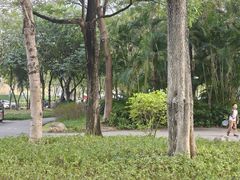 -火炉山森林公园