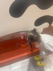 -奈尔宝家庭中心·亲子餐厅(苏州大悦城店)