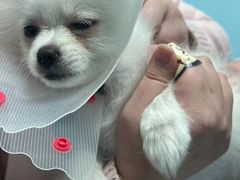 -纳吉亚猫专科动物医院博雅分院