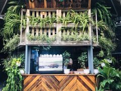 -Rainforest