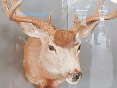 -陕西自然博物馆