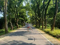 -东湖落雁景区