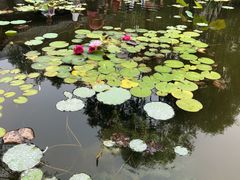 -文瀛公园