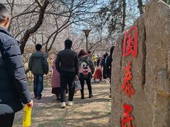 -桃花堤公园