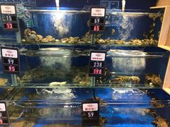 水产区-马路边上·小海鲜烧烤(八一路店)