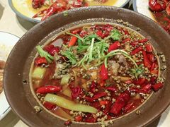 -杨氏青龙虾·羊蝎子(珠江路店)
