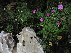 -人民公园(罗湖区)