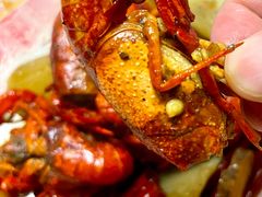 -霸王虾·麻辣小龙虾(清水河公园店)