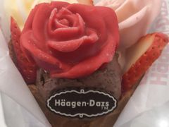 -哈根达斯(青岛海信店)