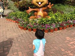 -呀诺达热带雨林
