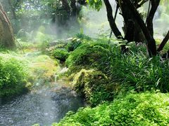 -Chom Cafe and Restaurant