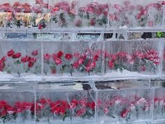 -万达广场(龙湖店)