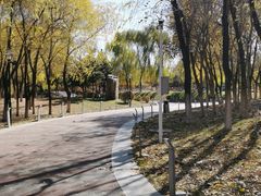 -莫子山公园