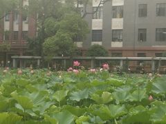 -四川大学(望江校区)