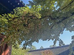 -红螺寺