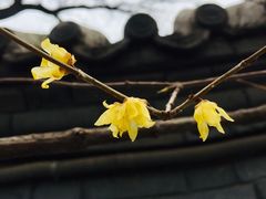 -宣武艺园