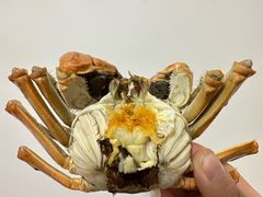 -阳澄湖大闸蟹·琼灵阁牌品牌连锁(吴中总店)