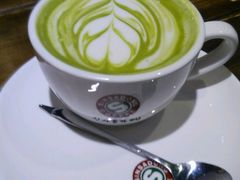 -新沙洞咖啡(泉乐坊店)