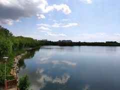 -大兴滨河森林公园