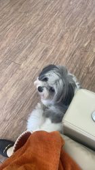 -沐蕙日式美甲美睫皮肤管理