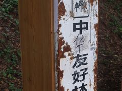 -老君山