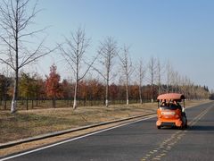 -黄海国家森林公园