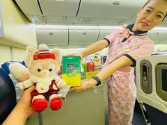 -全日本空输株式会社(上海办事处)