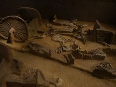 -洛阳周王城天子驾六博物馆