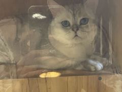 -津菜宋记老房子(鼓楼店)