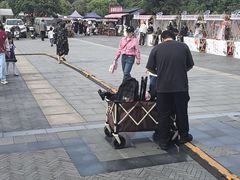 -八大山人梅湖景区