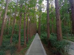 -同里国家湿地公园