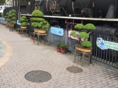 -老外街