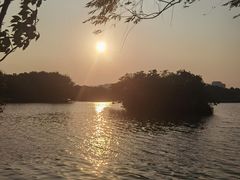 -洋湖国家湿地公园