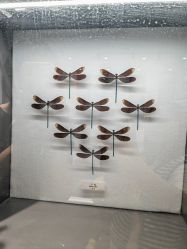 -酷嗒动物文化乐园(cutezoo西溪乐天城店)