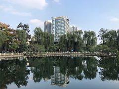 -塔子山公园