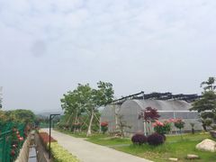 -呼吸森林·生态农庄农家乐私房菜