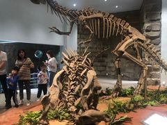 -自贡恐龙博物馆