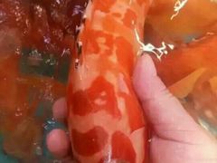 -宜宾海鲜酒家·三十年老字号