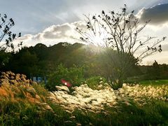 -东钱湖旅游度假区