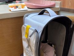 -宠福鑫动物医院(城北分院)