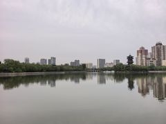 -迎泽公园