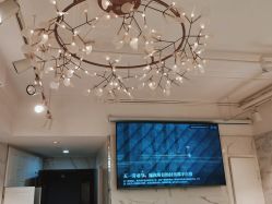 -潘多拉Hairsalon