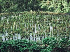 -山王坪喀斯特国家生态公园